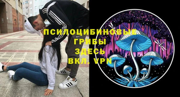 ешки Зерноград