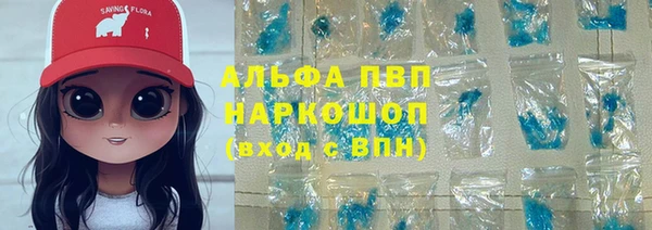 скорость Каменногорск