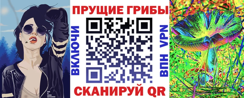 Купить  Плавск  Псилоцибиновые грибы мицелий 