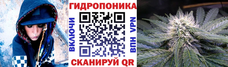 Купить где  Плавск  МАРИХУАНА Amnesia 
